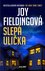 Slepá ulička Slepá ulička