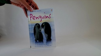 Penguins