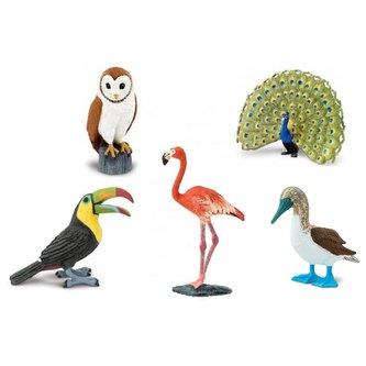 Ptáci (5 ks)
