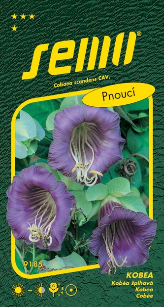 Kobea - vilec modrofialový Blue Bell 0,7g