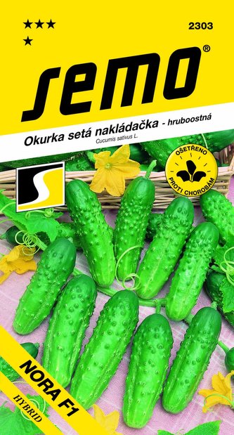 Okurka nakl. - Nora F1 hr 2g