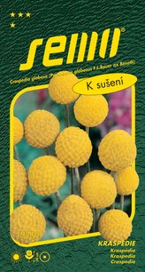 Kraspédie - Billy Buttons 0,1g
