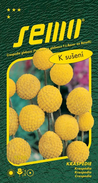 Kraspédie - Billy Buttons 0,1g