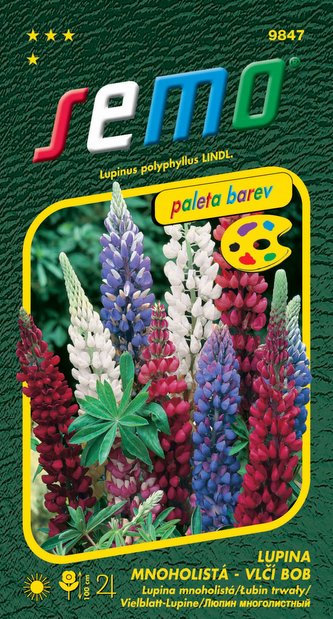 Vlčí bob (Lupina mnoholistá) směs 1,5g - série PALETA