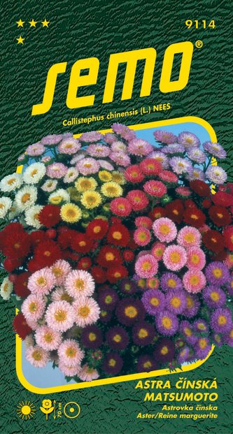 Astra čínská - Matsumoto směs 0,3g