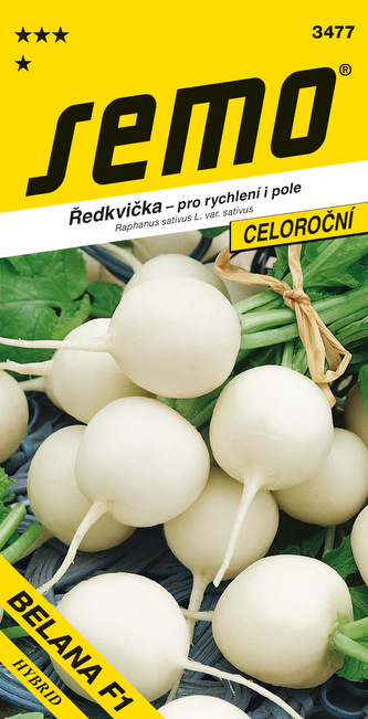 Ředkvička bílá - Belana F1 rychl,pole 1,5g