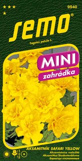 Aksamitník rozkladitý - Safari Yellow 30s - série MINI
