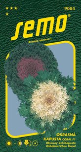 Kapusta okrasná - Coral F1 mix 20s