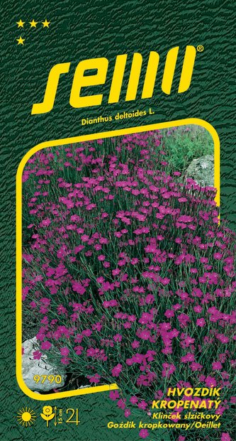 Hvozdík kropenatý - Maiden pink 0,1g