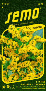 Limonka Statice sinuata - Gold Coast žlutá 0,5g