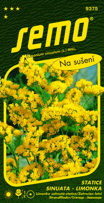 Limonka Statice sinuata - Gold Coast žlutá 0,5g