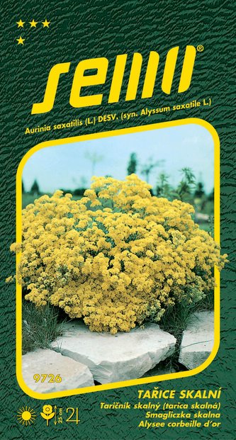 Tařice skalní - žlutá Gold Cloud 0,4g