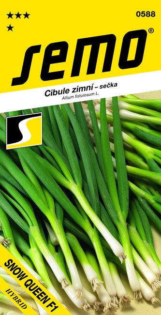 Cibule sečka - Snow Queen F1 zimní, celoročně pro nať 1,5g