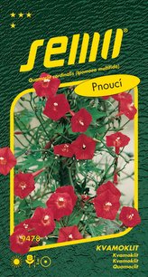 Kvamoklit - Kardinál pnoucí 1g