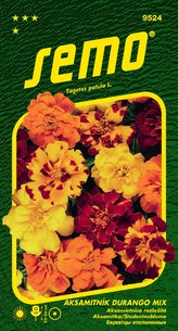 Aksamitník rozkladitý - Durango Mix 30s