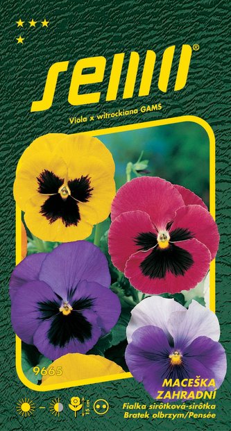 Maceška zahradní - směs s okem švýcarská 0,3g