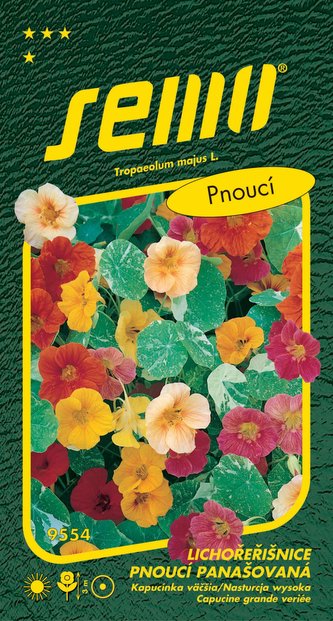 Lichořeřišnice větší - Out of Africa pnoucí 2g