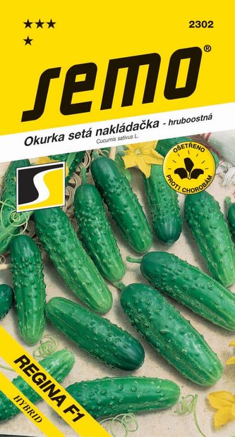 Okurka nakl. - Regina F1 hr 2g