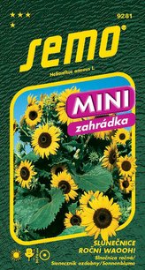 Slunečnice roční - Waooh! 0,8g - série MINI