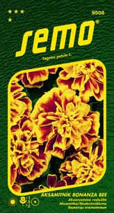 Aksamitník rozkladitý - Bonanza Bee 30s