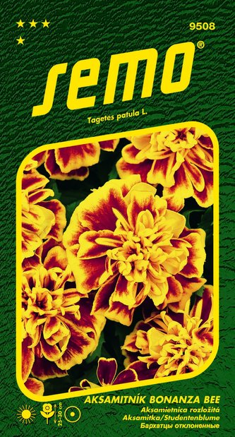 Aksamitník rozkladitý - Bonanza Bee 30s