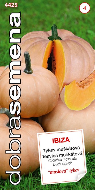 Dobrá semena Tykev muškátová - Ibiza 10s