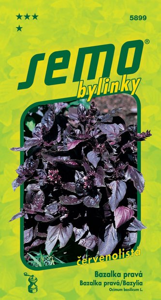 Bazalka pravá - Red Rubin 1g