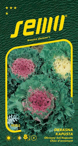Kapusta okrasná - směs barev 0,5g