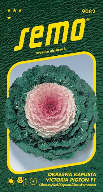 Kapusta okrasná - Victoria Pigeon F1 20s