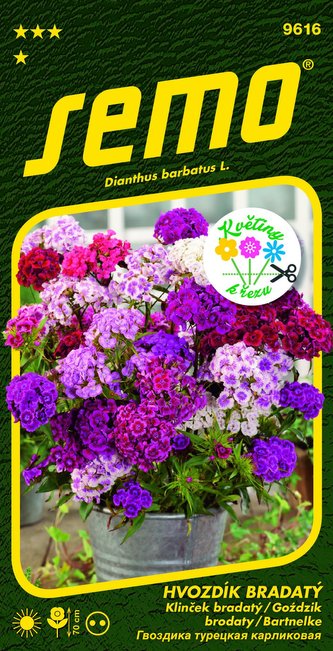 Hvozdík bradatý - Fragrance mix 0,5g - série KVĚTINY K ŘEZU