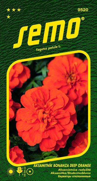 Aksamitník rozkladitý - Bonanza Deep Orange 30s