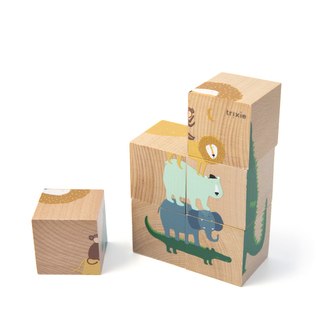 Wooden puzzle blocks