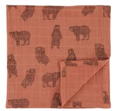 Mušelínová plenka| 55 x 55 Brave bear, set 3 pcs