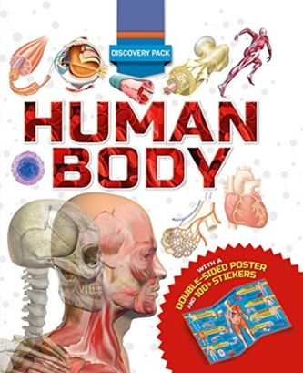 Discovery Pack: Human Body