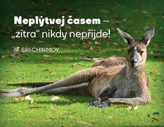 Magnet na lednici Neplýtvej časem