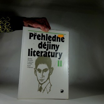 Přehled dějiny literatury II