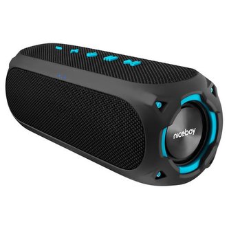 NIceboy RAZE Radion 4