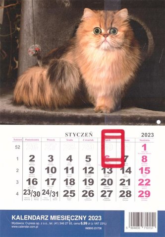 Kalendarz 2023 Ścienny