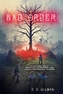 Bad Order
