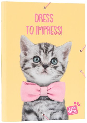 Složka Studio Pets: Koťata (26 x 34 x 2 cm)