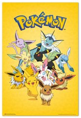 Plakát Pokémon: Evolution (61 x 91,5 cm)