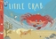 Little Crab