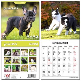 Kalendarz 2023 13 Plansz 16x16cm Psiaki