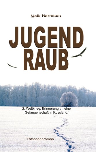 Jugendraub