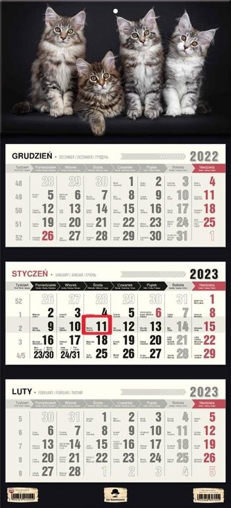 Kalendarz 2023 trójdzielny płaska główka Kotki