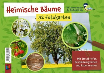 Heimische Bäume  32 Fotokarten