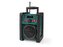 Rádio NEDIS RDDB3100GN