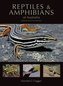 Reptiles and Amphibians of Australia