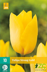 Karta - Tulipán - Strong Gold (10 cibulí) "C"