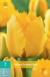Karta - Tulipán - Crystal Star (7 cibulí) "B"